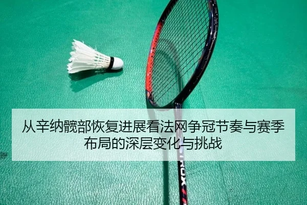 从辛纳髋部恢复进展看法网争冠节奏与赛季布局的深层变化与挑战
